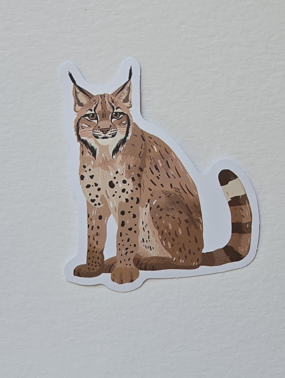 10/$10 Lynx Cat Decorative Sticker